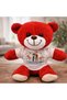10 Pieces of Plush Teddy Bears - Red Plush Toy with Cute T-Shirt and Bride and Groom Couple Design, 25 cm Plush Gift - 2