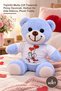 3 Plush Teddy Bears – Plush Toy with T-Shirt and Happy Couple Design, Gift and Room Decoration, Plush Teddy