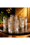 Viola 6-Piece Crystal-Looking Water Set - Glass Set – Stylish Patterned Water and Soft Drink Glasses