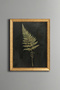 Fern - Vintage Patterned Painting - Fine Model