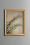 Botanical Fern Leaves - Vintage Patterned Painting - Fine Model