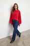 Women's Red Bat Cut Balloon Sleeve Light Transparent Blouse Alc-X15867 - 4