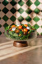 Glass Striped Salad Fruit Decorative Presentation Bowl with Acacia Stand