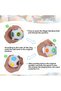 Moyu Magic Rainbow Ball 7 cm 12-Hole Color Matching Stress Ball Brain Teaser Educational Rubik Ball Toy - 3