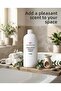 Eucalyptus Aromatic 1 kg - 4