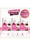 Rose Essence 20 ml - Pure and Natural Rose Scented Essence Oil Economical Pack of 3