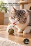 1 Piece Catnip Licking Ball with Teddy Bear – Cat Toy, Licking and Playing Ball, Catnip Ball, Oral Hygiene Support