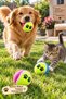 3 Pack Colorful Patterned Tennis Balls Cat Dog Toy Paw Printed Play Ball - 4