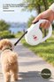 5 Pieces of Cute Automatic Dog Leashes – 2.5 Meters Retractable Leash, Ergonomic Handle, Plastic Body, Retractable Leash, Dog Walker
