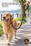4 Pieces Pet Leash – Reflective Ribbed Mesh 12 mm 120 Cm, Dog Leash Cat Leash Leash