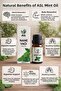 Peppermint Oil 10 ml – Refreshing and Multi-Purpose Natural Care Oil