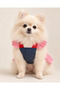 Dog Dress with Leash Ruffled Denim (100% Cotton) - Cat Dog Outfit Small Breed - 5