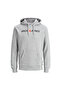 Corp Old Logo Men's Gray Sweatshirt (12137054-Lgm) - 5