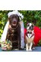 Dog Tuxedo Collar with Bowtie,Adjustable Formal Pet Bandana for Weddings and Parties,Grey,Small - 7