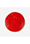 Watermelon Red Ceramic Breakfast Plate 21.5 cm