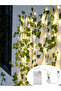 2M (6.56Ft) Warm White Flower Green Leaf String Lights USB And Battery Powered Ivy Vine Fairy Lights - 8