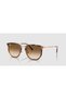 Unisex Glasses Rb4451-680451 - 2