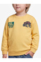 Printed Şardonlu Crew Neck Long Sleeve Sweatshirt - 3