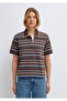 Striped Polo Collar Brown T-Shirt Regular Fit / Normal Cut 1614119-88068 - 3