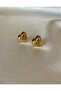 Heart Shape Earrings - 3