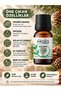 100% Pure Cedarwood Essential Oil 10 ml |   Diffuser and Aromatherapy Oil |   Odunsu Aroma - 3