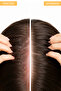 Nourishing and Repairing Propolis Procapil Shampoo for Dry and Sensitive Hair - 3