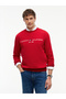 TOMMY LOGO SWEATSHIRT