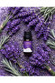 Lavender Essential Oil (100% Pure) — Diffuser & Sleep & Skin Care 10 ml - 2