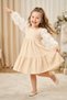 Baby Girl Dress Girls' Dress Birthday Party Wedding Tutu Tulle Long Sleeve Lined Dress