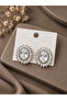 Brass Silver Color Zircon Stone Women's Earrings