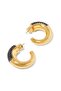 Shiny Crystal Hook Earrings - 4