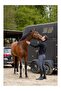 Rossini Duragrip Full Men's Riding Breeches - 2