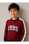Boys’ Cut & Sew Graphic Pullover