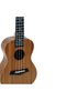 Ukulele 23' U-02 - 4