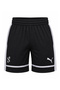 Scoot Lab Men's Shorts 630697-01