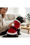 Hooded Santa Claus Costume for Cat and Dog - 3
