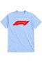 Men's F1 Printed T-Shirt – Racing-Themed 100% Cotton Crew Neck Short Sleeve Tee