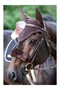 Lamb Wool Nose Strap Protective Covering