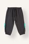 100% Cotton Crocodile Printed and Appliqué Detailed 2-Piece Sweatshirt Set for Baby Boy I3754A526Wn - 6