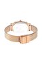 Raga Viva Brown Dial Analog Stainless Steel Strap Watch for Women - 4