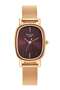 Raga Viva Brown Dial Analog Stainless Steel Strap Watch for Women