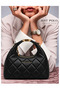 Imported Quilted Fabric Women's Hand and Shoulder Bag - 4
