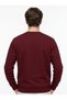 Men's standard fit regular cut 2-thread crew neck sweatshirt burgundy - 4