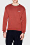 Cotton Blend Regular Fit Crew Neck Sweater Men's Sweater Xm003009 Af28775 U5012