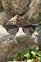 Men's Sunglasses - 4