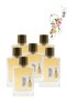 6 Pieces No. 64 Perfume 100 ML