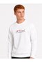 Regular Fit Men's Sweatshirt - 3