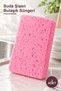 3 Pieces of Dish Sponge That Swells in Water