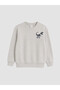 Dinosaur Printed Boys' Tracksuit Set - 2