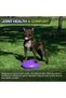 ProsourceFit Core Balance Disc Trainer، بقطر 14 بوصة مع مضخة لتحسين الوضعية واللياقة البدنية والثبات - 5
